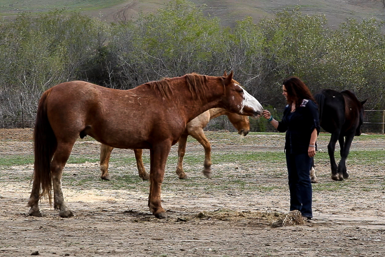 Neda-and-Horse-1