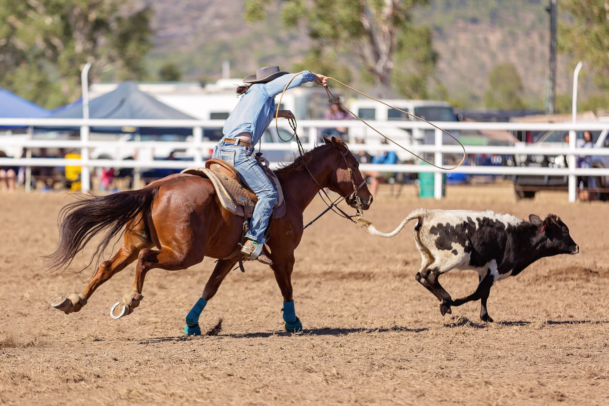 Rider-Roping-Calf-scaled