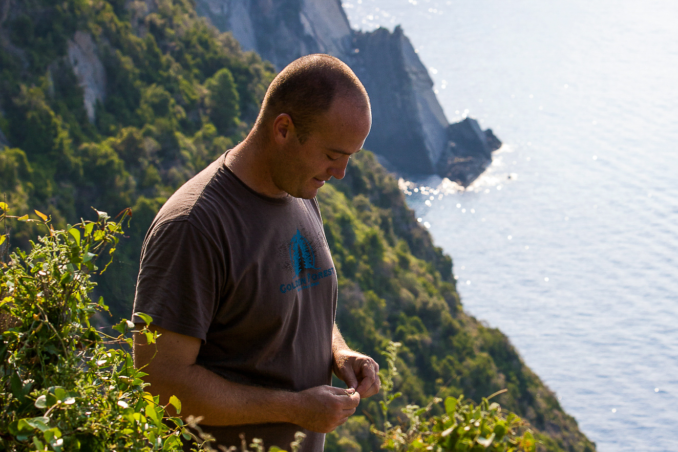 Vendemmia-Poster-Horizontal